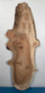 Edge-all-round Elm