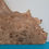 Thumbnail: Stunning Elm Burr slice