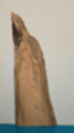 Natural edge Elm offcut