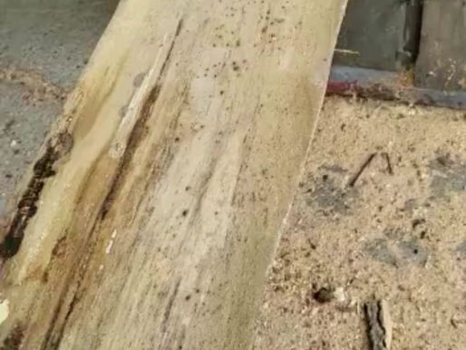 Stunning planed timber