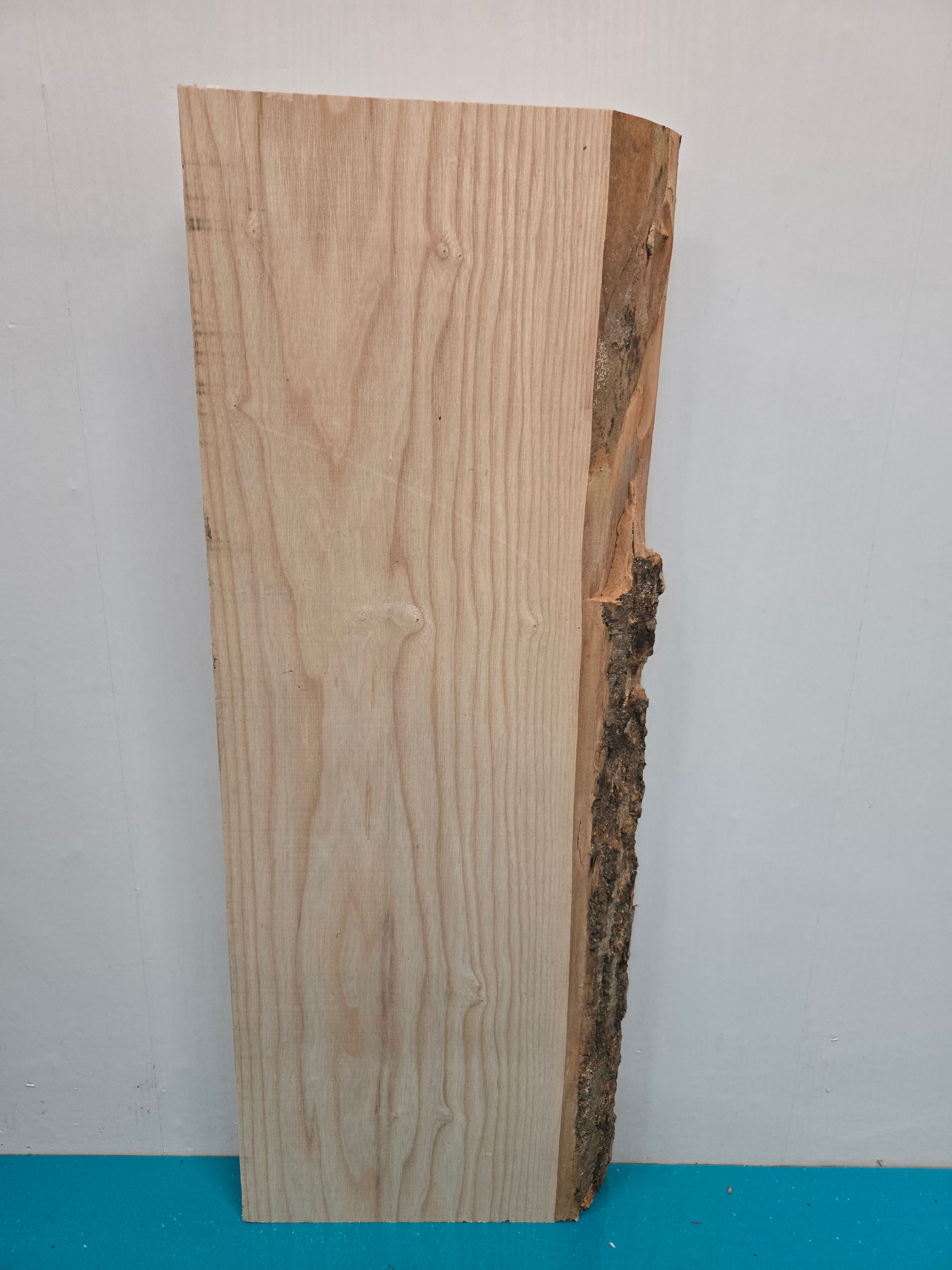 Live edge Ash Offcut