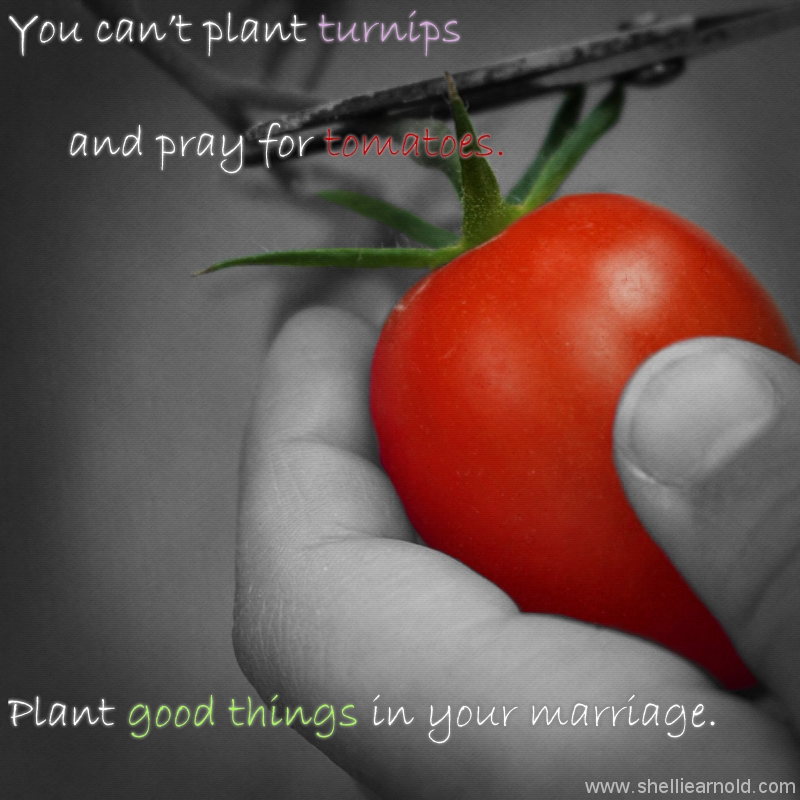 YOUR MARRIAGE resources graphic 005