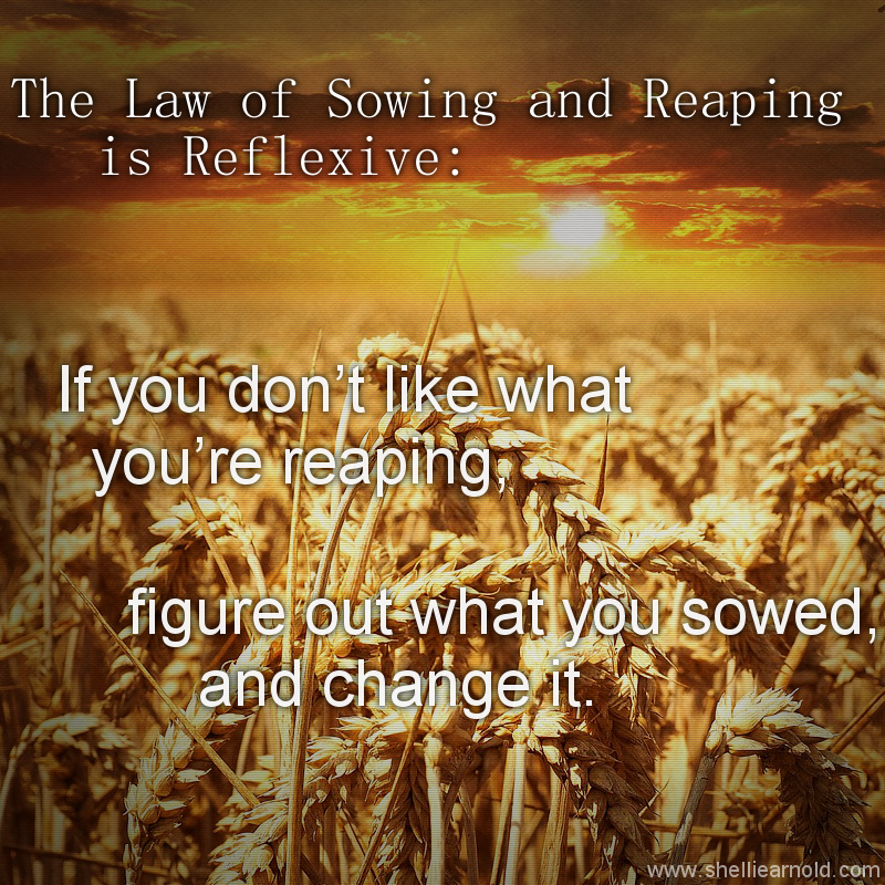 YOUR MARRIAGE resources graphic 003