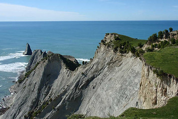 Cape-Kidnappers-Gannet-Tours-Hawkes-Bay-2.jpg