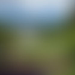 Saisonrückblick 2024