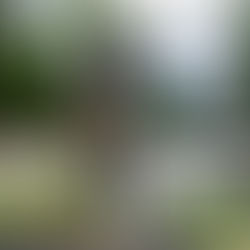 Mountainbike Race Series Wetzikon