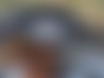 Up-to-date list of 2026 events