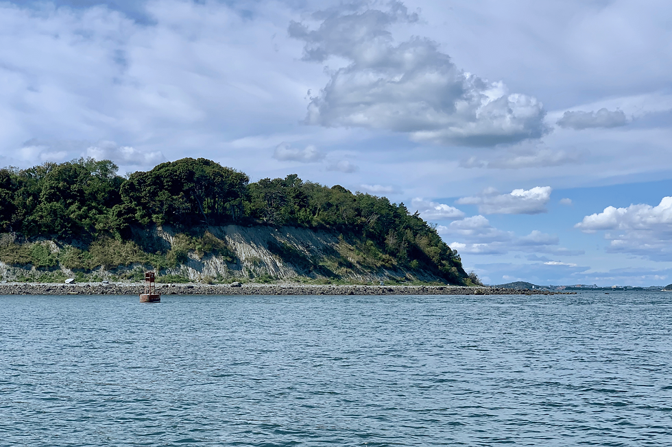 Untitled design - 2025-09-29T140356.945.png