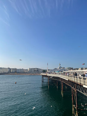 IMG_7829.jpeg