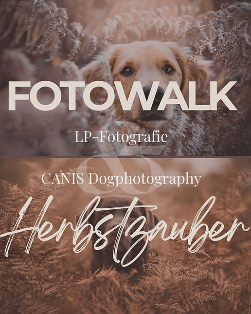 WhatsApp Image 2025-09-16 at 20.10.17_6a89c366.jpg