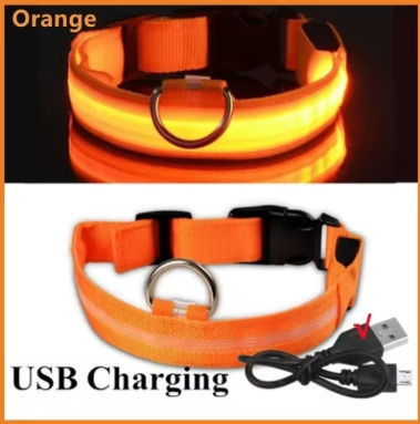 Thumbnail: GlowGuard USB Rechargeable LED Dog Collar