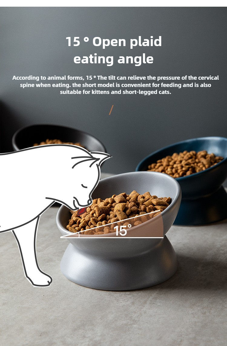 Thumbnail: PurrDish™ Modern Elevated Feeding Bowl for Cats