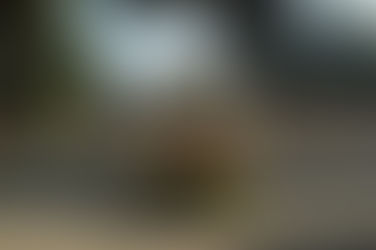 Vigevano. Caos cimiteri. Il Comune, accetta la decisione del Tar e reintegra il vecchio gestore.