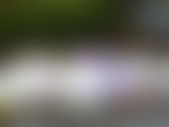 Vigevano. Emergenza rifiuti. Vie piene di rifiuti