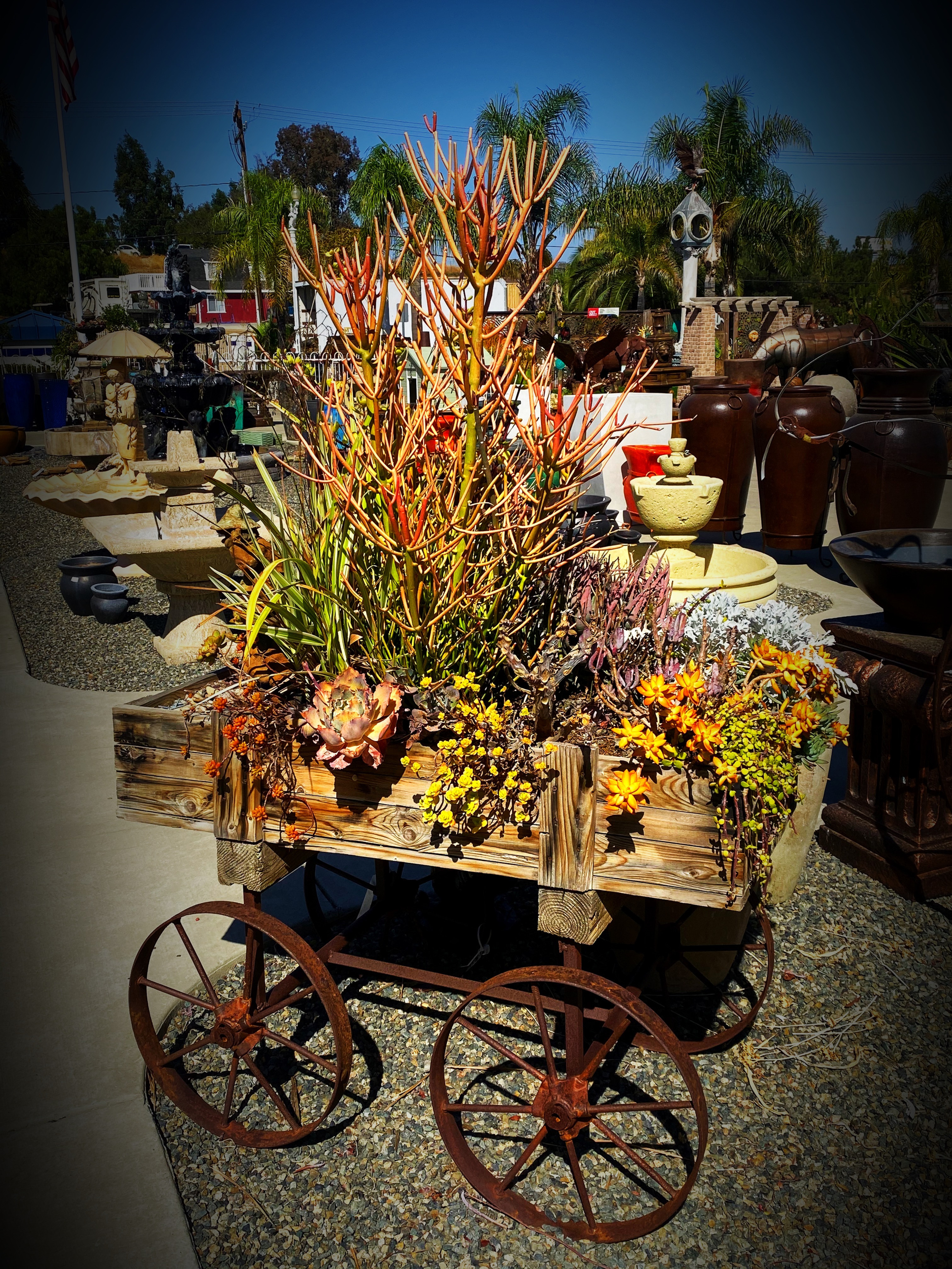 Succulent Wagon