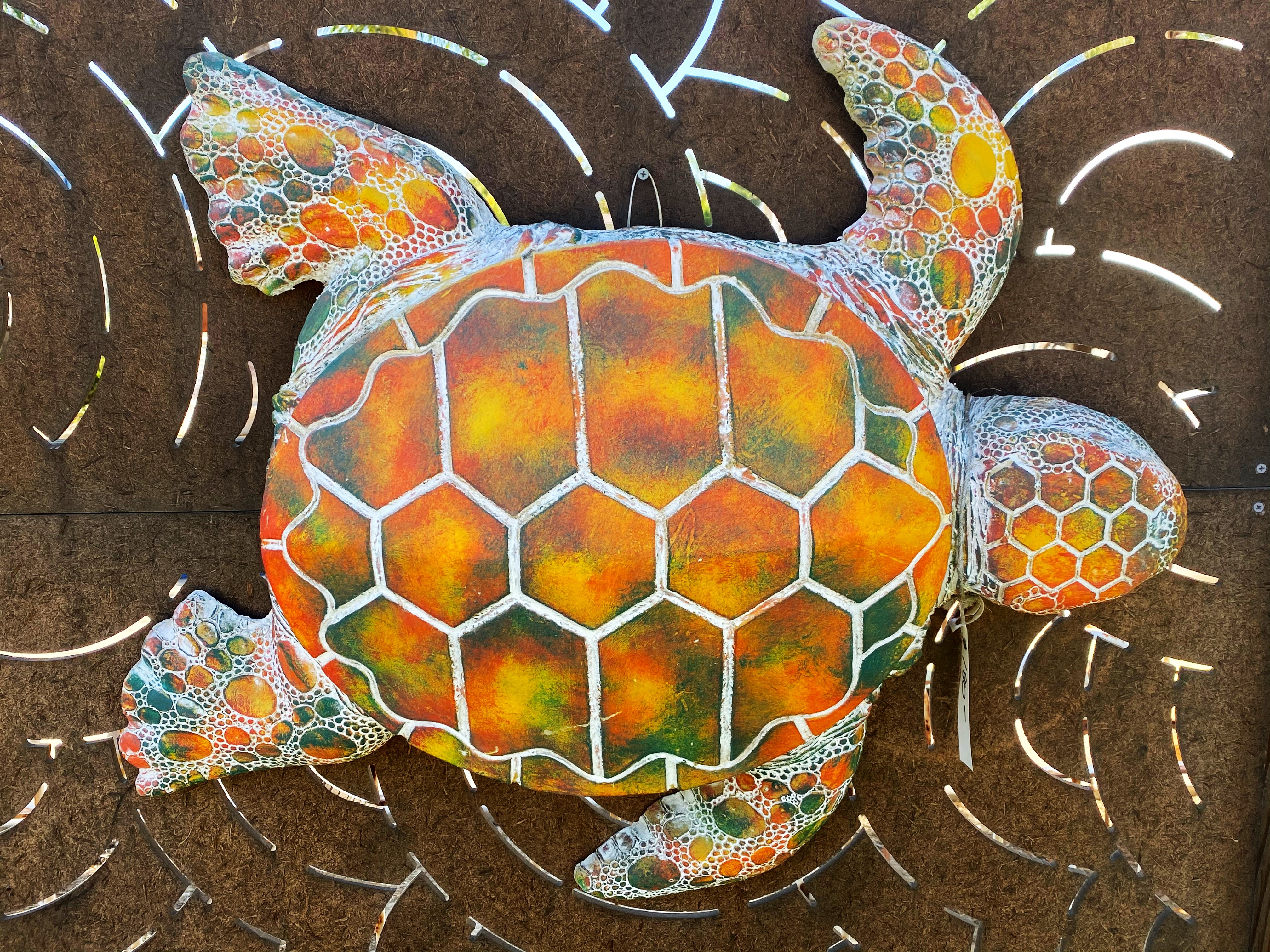 Sea Turtle
