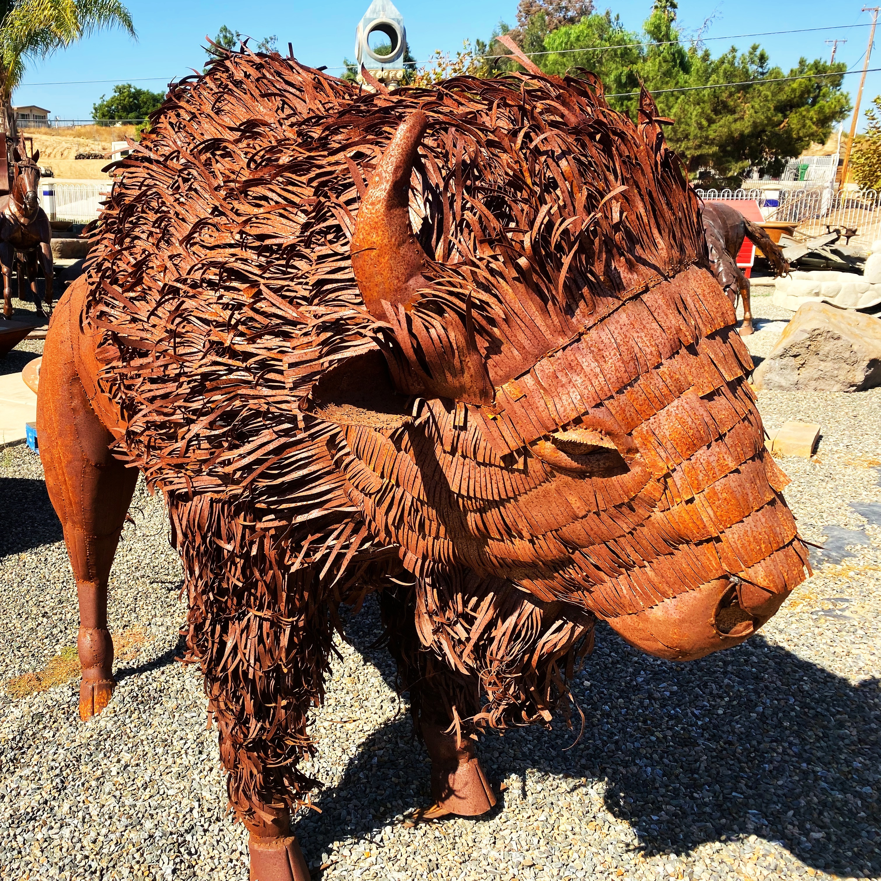 Buffalo