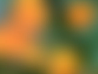 権利の主張には