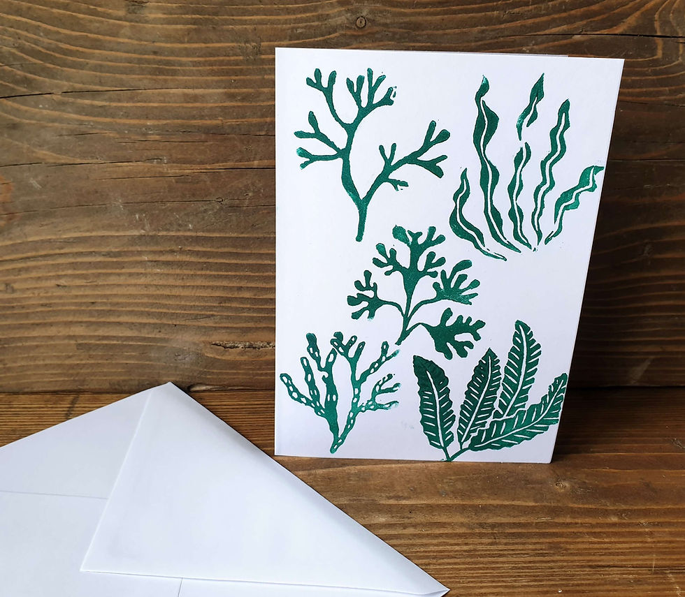 Thumbnail: Seaweed Greetings Card