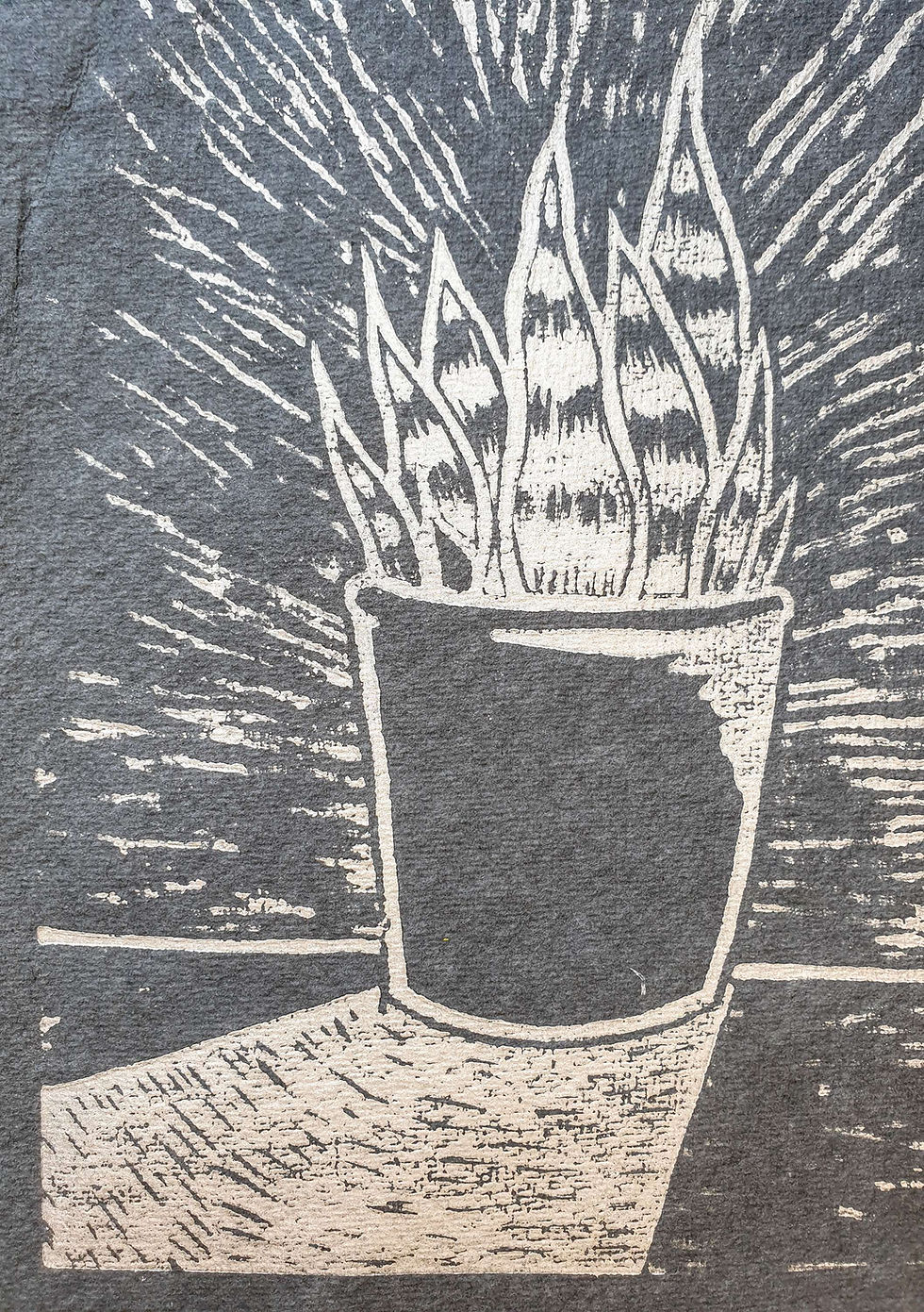 Thumbnail: Original Print: Snake Plant, on Khadi paper