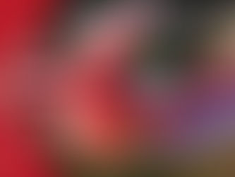 Változások a belépési díjakban és a bérletekben 2026-ban a Nemzetközi Parkokban: