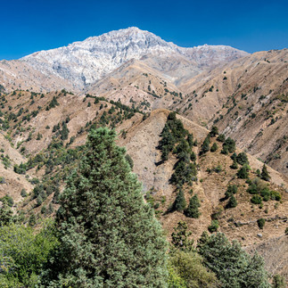Uzbekistans Nature