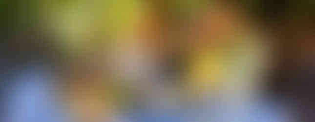 people having breakfast