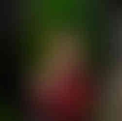 Traditional Balinese Outfit