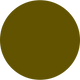 ARMY GREEN.png