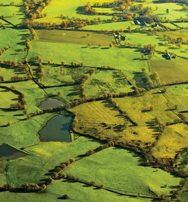A bas les haies, vive le déluge !