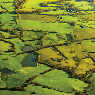 Down with hedges, long live the flood!