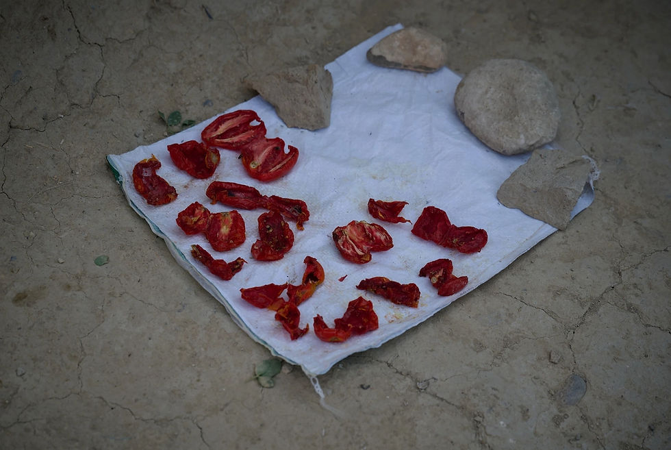 Afghanistan, photoreportage Nava Jamshidi