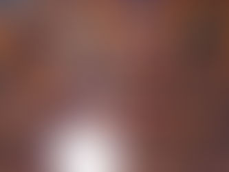𝙱ossa 𝖭ova 𝙲oncert․