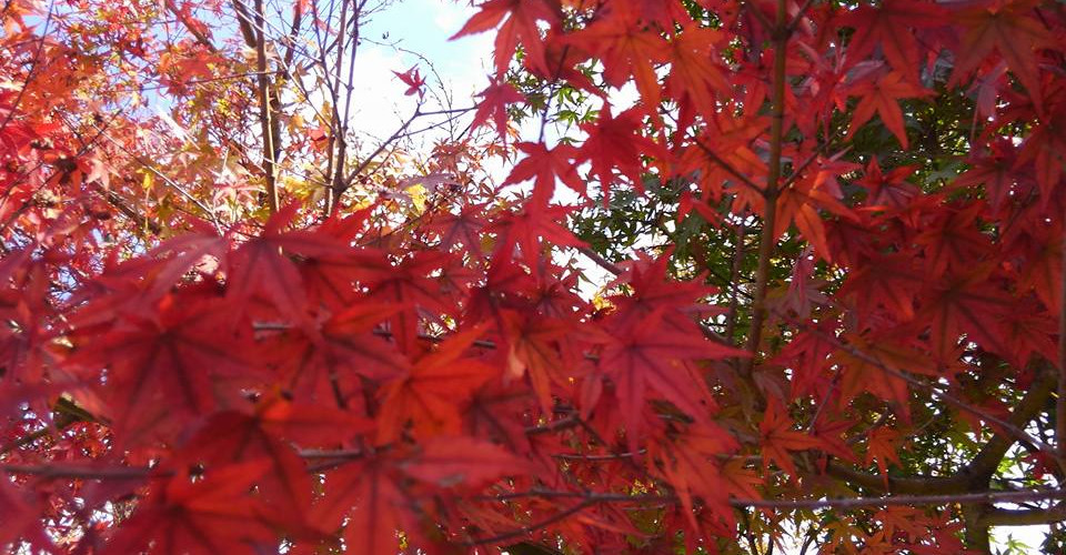 22894158_897357697086391_3231221537600014261_n