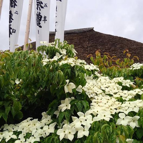 18157731_835597153262446_8273302051882321371_n_edited