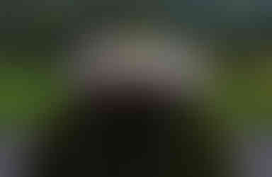 37949179_1072658896222936_41883221971833