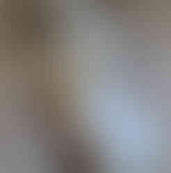 19554964_835597356595759_8014044221927098609_n_edited