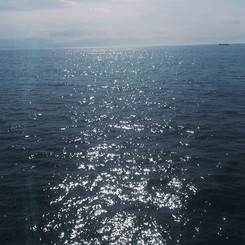 33853505_1015429328612560_7164185030900580352_n_edited