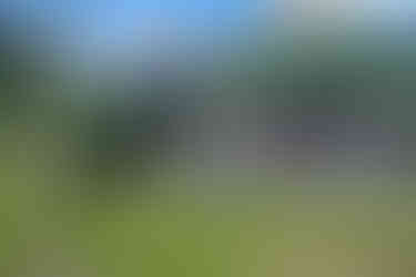 The view from a cable car in the Dolomites