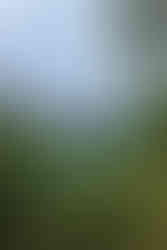 Laufen Castle at the Rheinfall, Switzerland