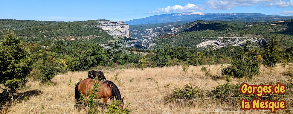 Thumbnail: Gorges de la Nesque Ceramic Mug