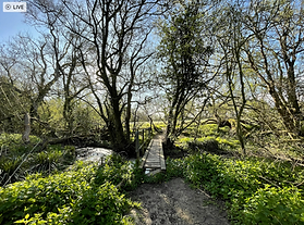 The little bridge