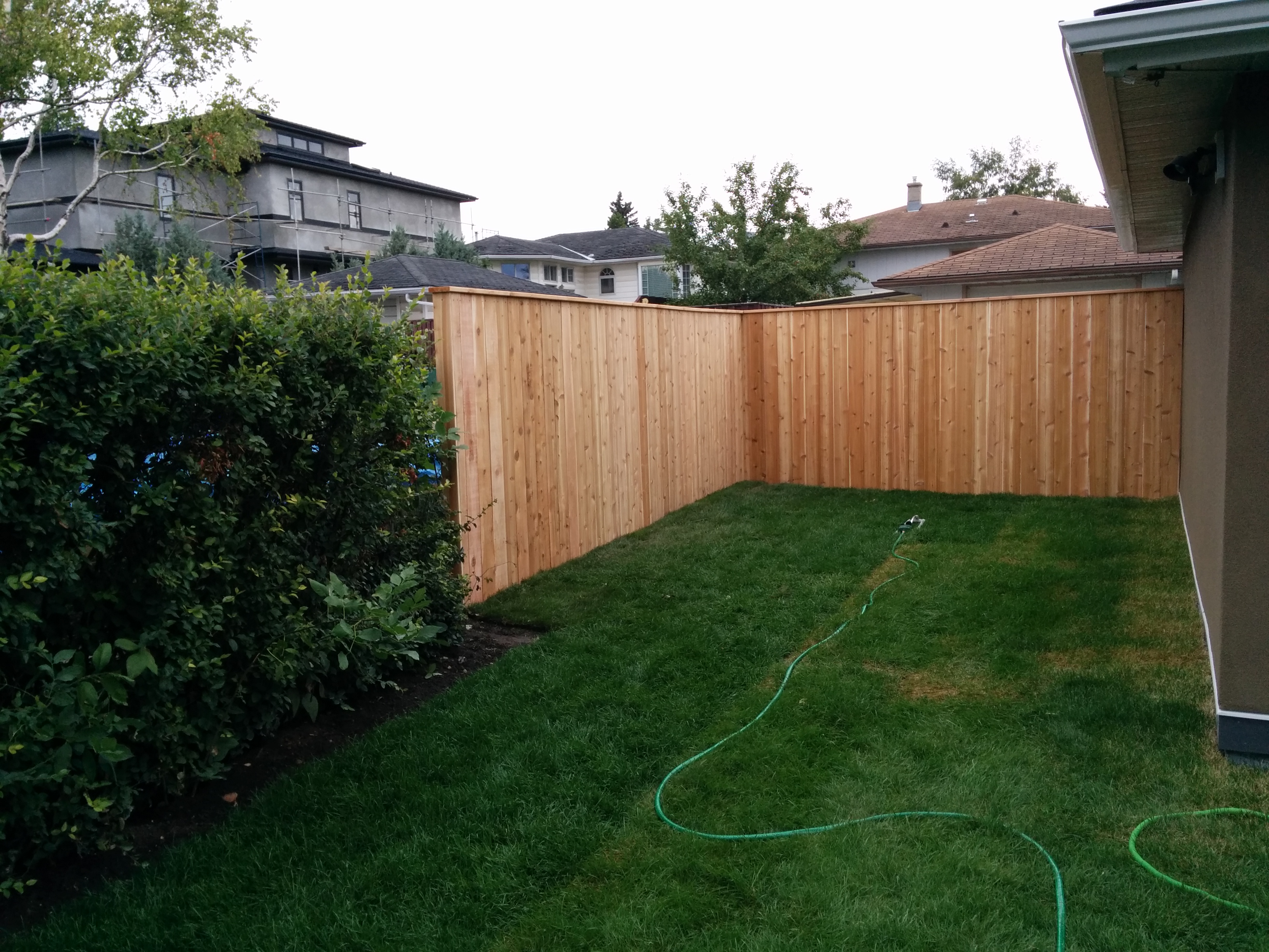 Complete Yard Project