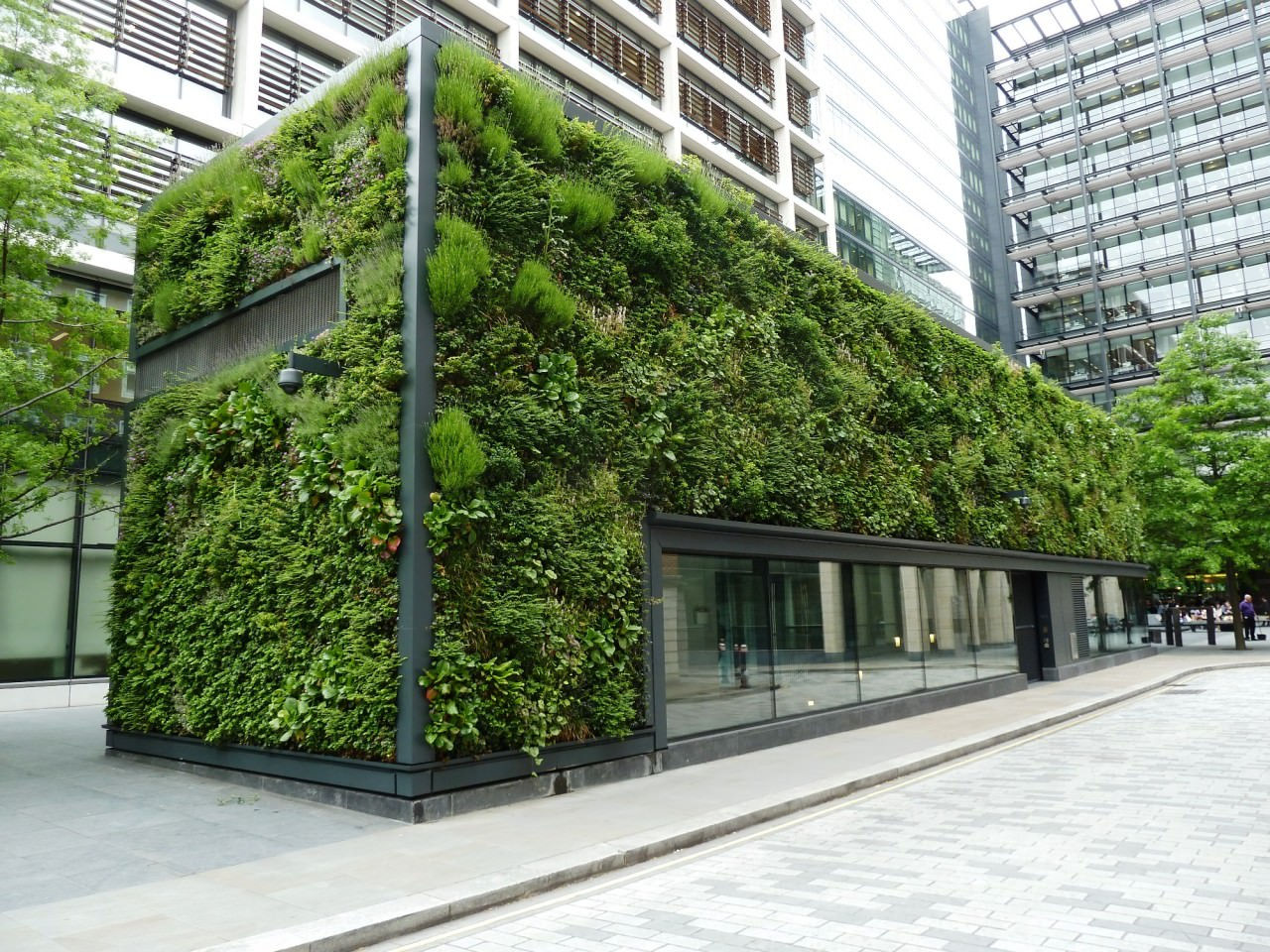 Green Wall & Eco-landscaping