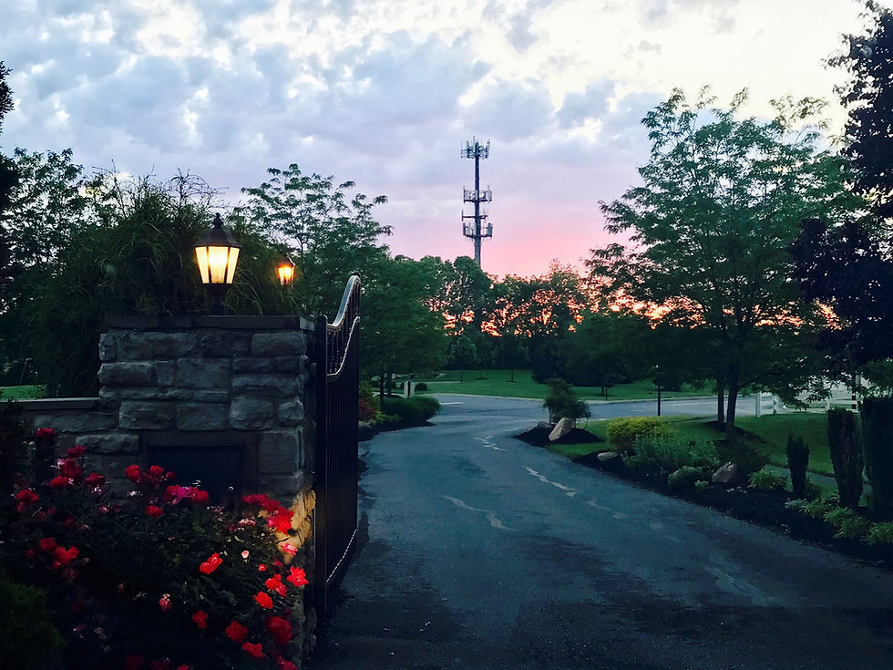Reedy Estates