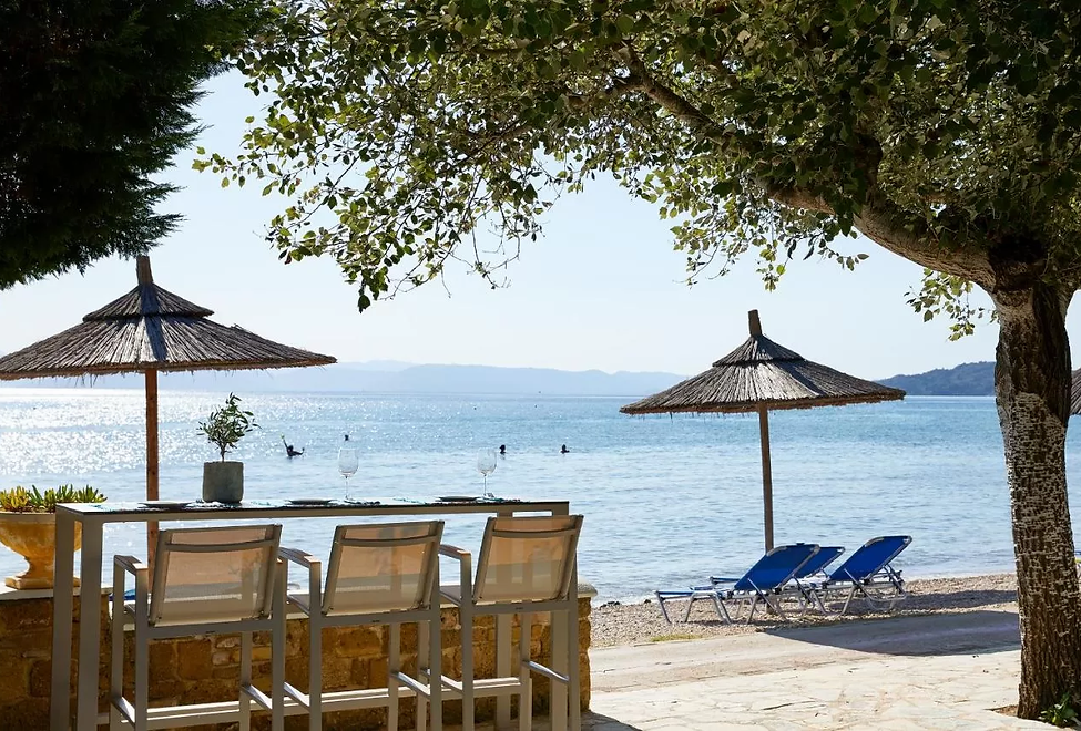 219328292.webp?k=fce4a5fa6beced737785fd6