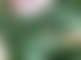 19th September 2025