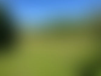 10th July 2025