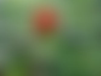 13th July 2025
