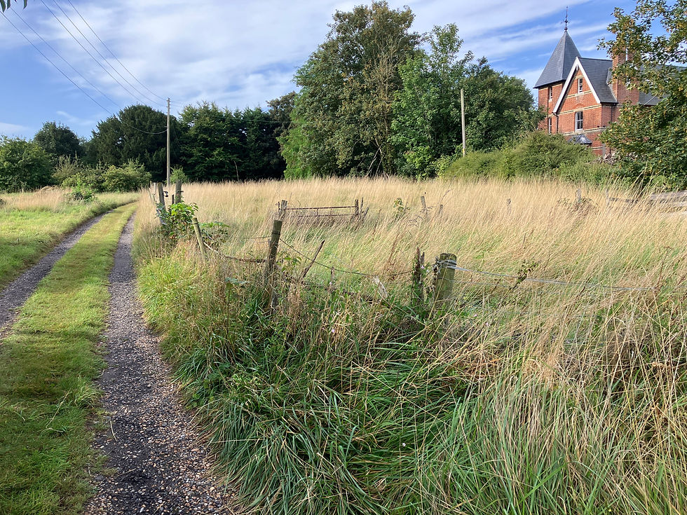 The fields around Church Orchard